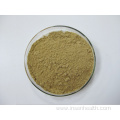 Beta Ecdysterone Powder 98%